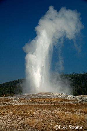 Yellowstone NP Old Faithful